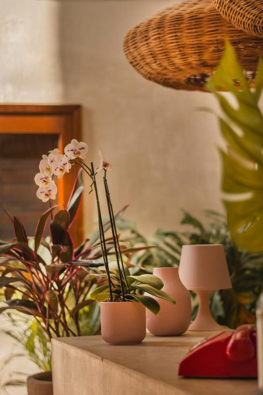 Alcobas Del Mar Hotel Isla Holbox Екстериор снимка